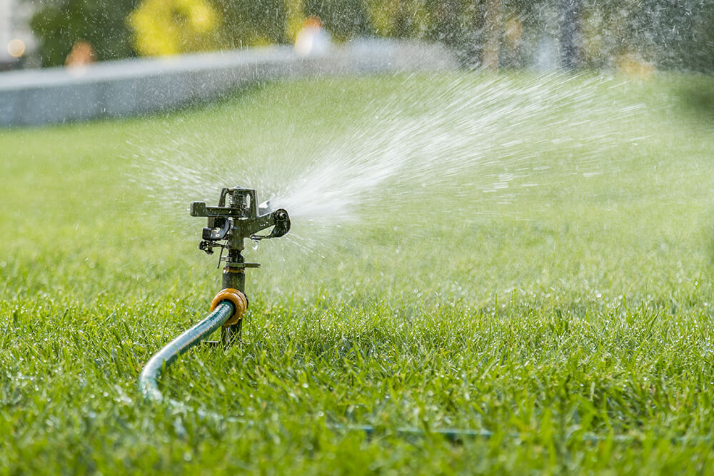 The Best Ways To Conserve Water On Landscaping