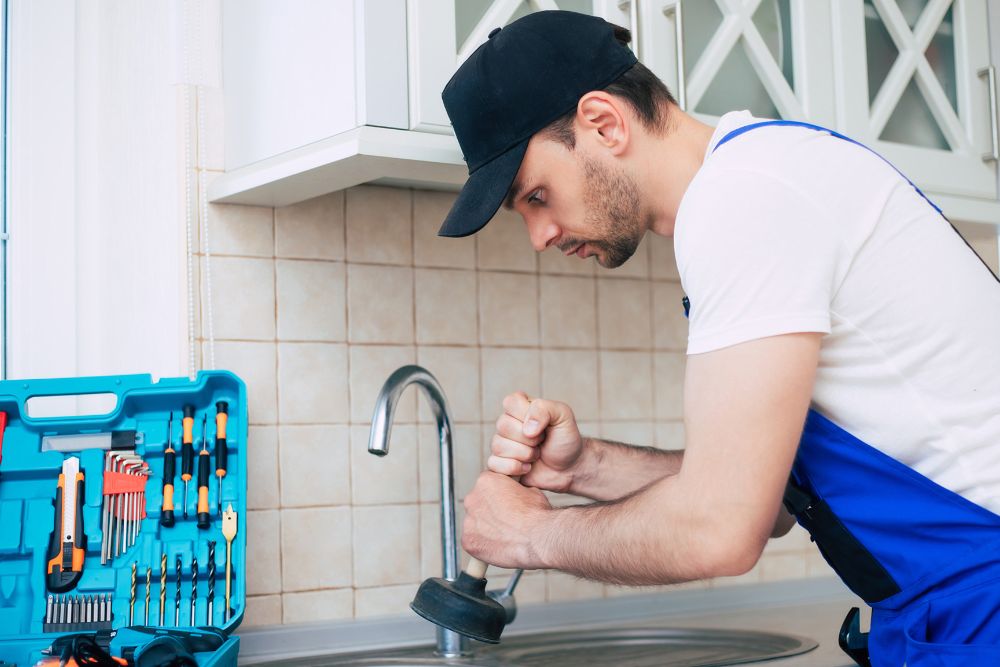 What You Need to Know About Plumbing Services